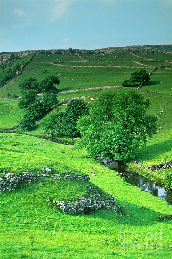 Yorkshire Dales Countryside Photograph by Martyn F. Chillmaid/science Photo Library