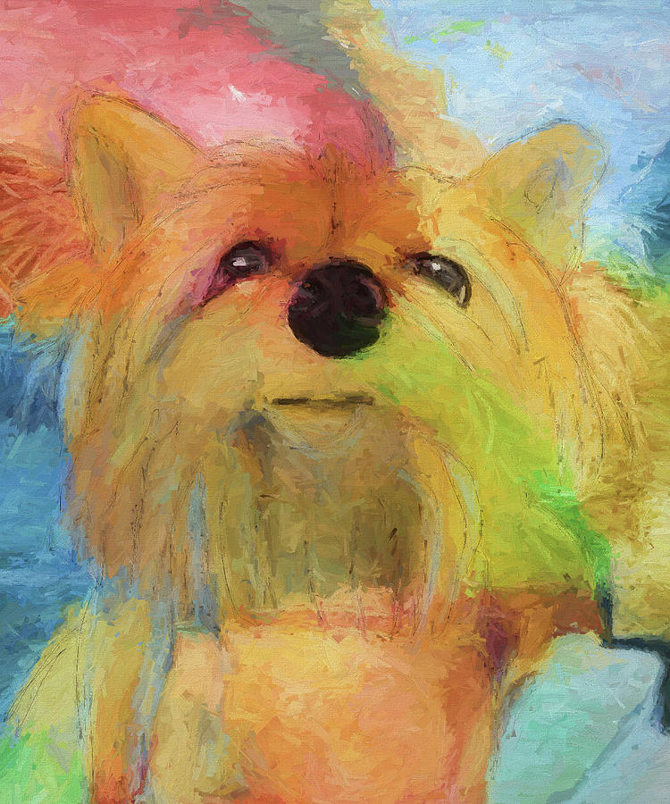 Yorkshire Dog Painting Digital Art by Susan Stone
