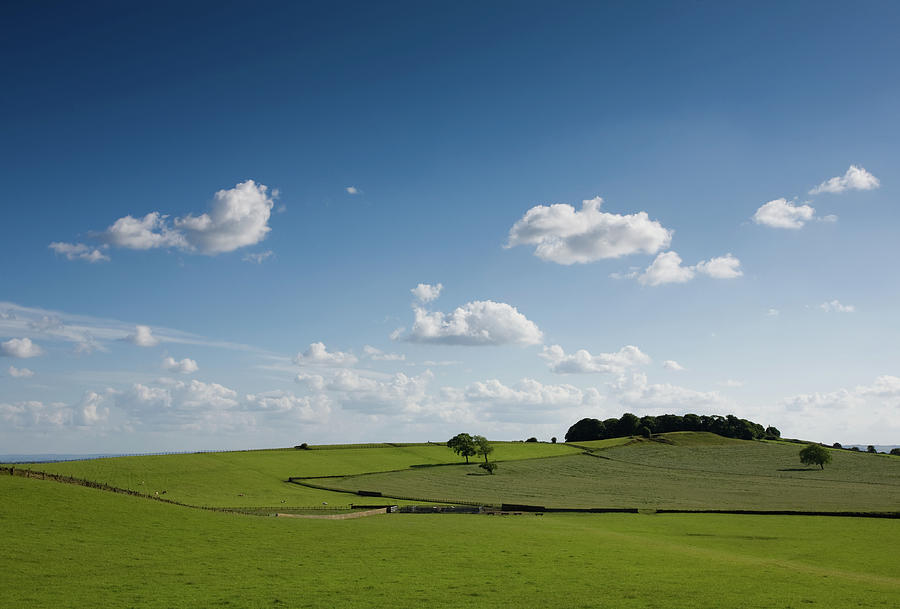 Yorkshire Fields Photograph by Paul Indigo