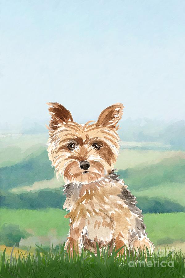 Yorkshire Terrier Painting by John Edwards