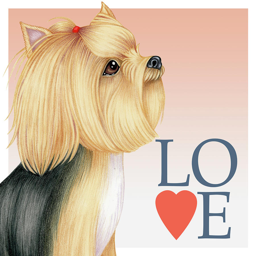 are yorkshire terriers loving