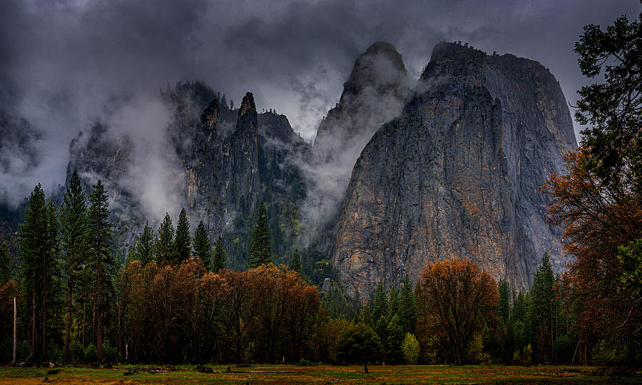 Landscape Photograph - Yosemite After Rain by Ning Lin