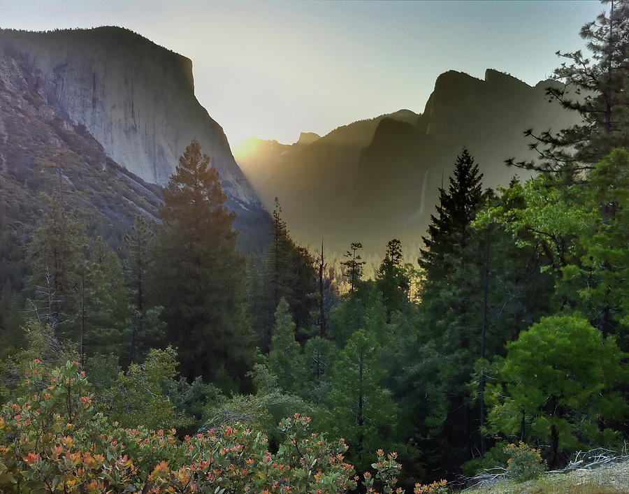 Yosemite At Sunrise Photograph by Jeffrey PERKINS