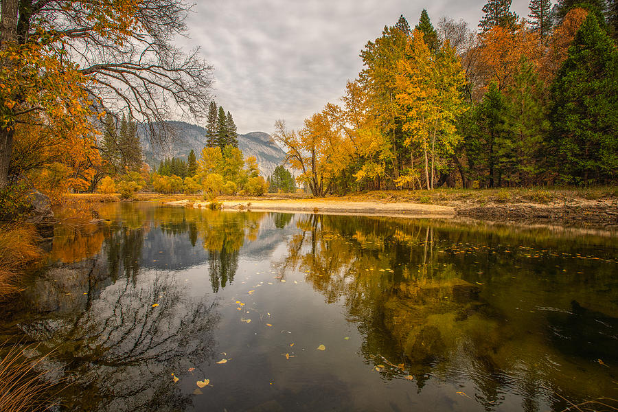 Landscape Photograph - Yosemite Autumn 2 by April Xie