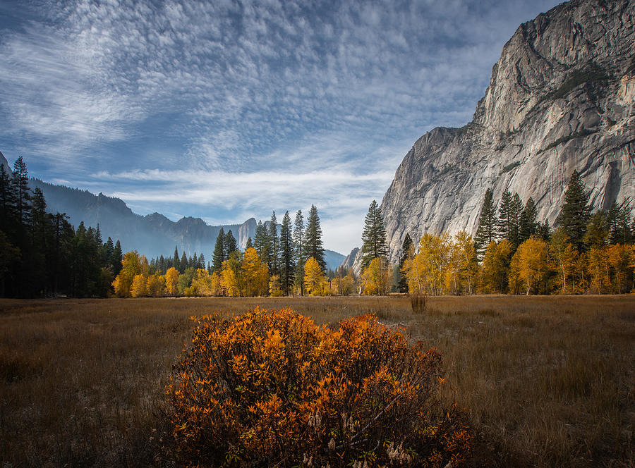 Landscape Photograph - Yosemite Autumn by April Xie