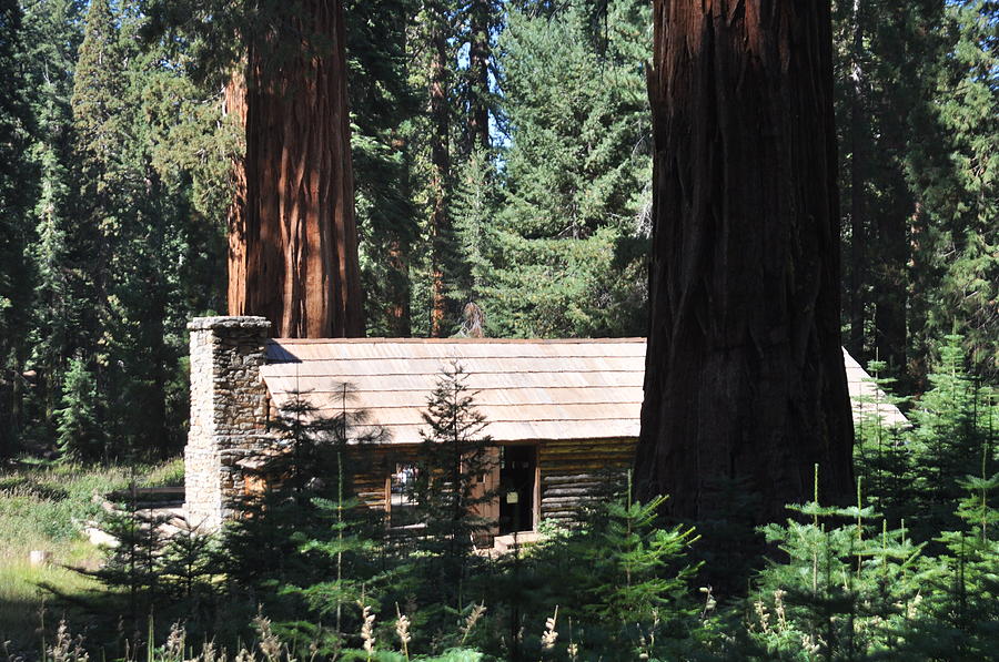 Yosemite Cabin Photograph By John Hughes