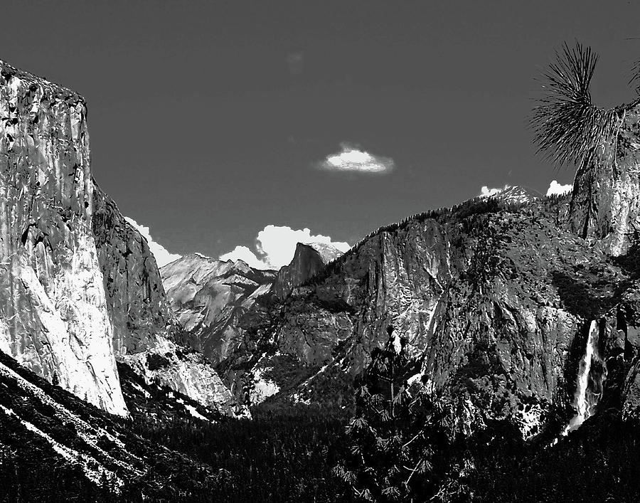 Yosemite Photograph by Carl Sheffer