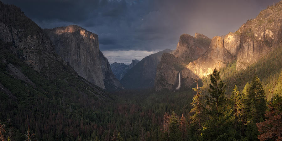 Yosemite National Park Photograph - Yosemite by Cesar Alvarez Osorio