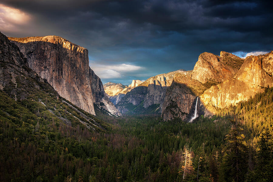 Yosemite Evening Light Photograph by Andrew Soundarajan