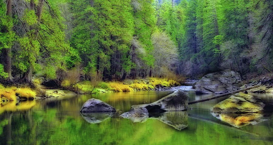 Yosemite Fall Photograph by Floyd Hopper