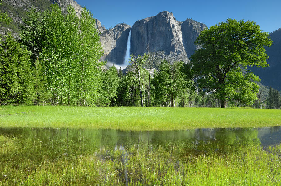 Yosemite National Park Photograph - Yosemite Fall In The Spring With by Gomezdavid