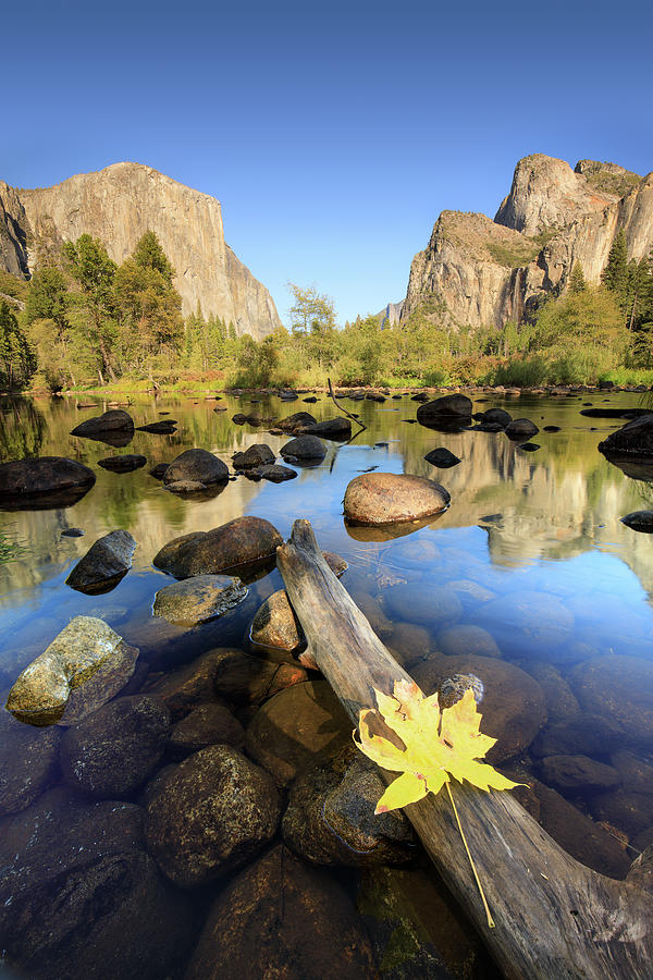 Yosemite National Park Photograph - Yosemite Fall Reflections by Erick Castellon