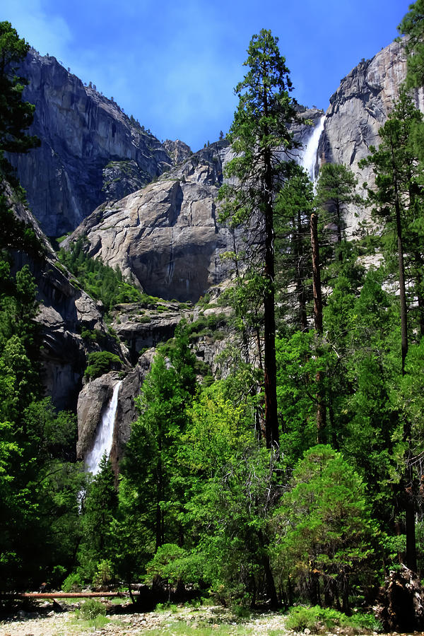 Yosemite Falls 3 Photograph by Dawn Richards