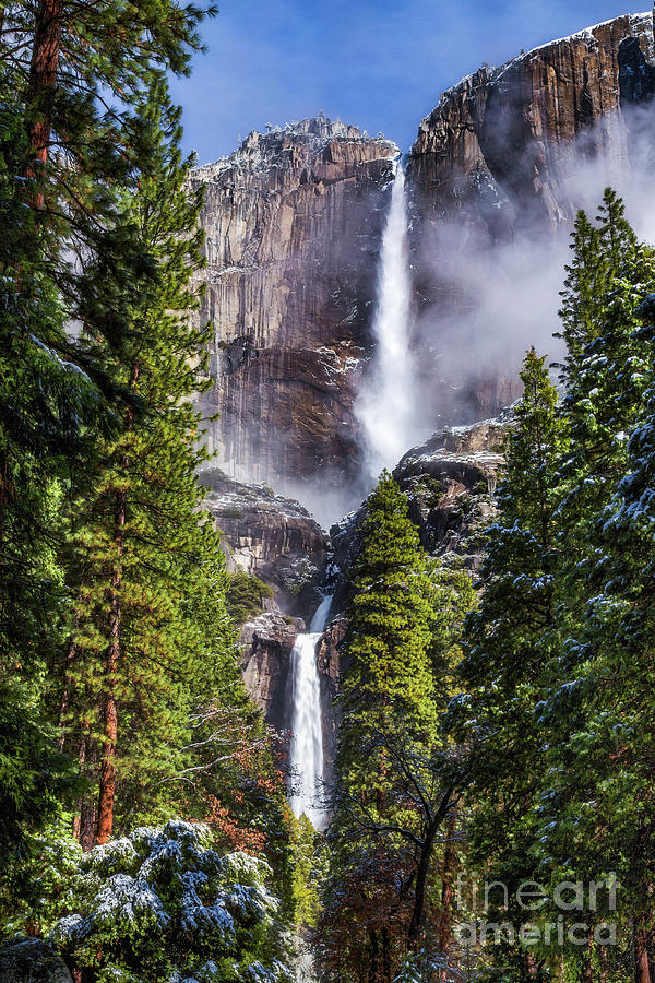 Yosemite Falls Photograph by Anthony Michael Bonafede