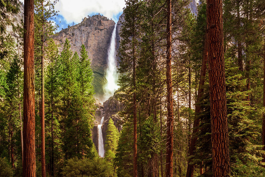 Yosemite National Park Photograph - Yosemite Falls Framed by Andrew Soundarajan
