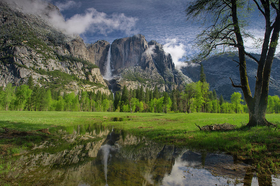Yosemite Falls Photograph by Jeff Foott