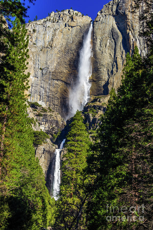 Yosemite Falls Upper and Lower Photograph by Roslyn Wilkins