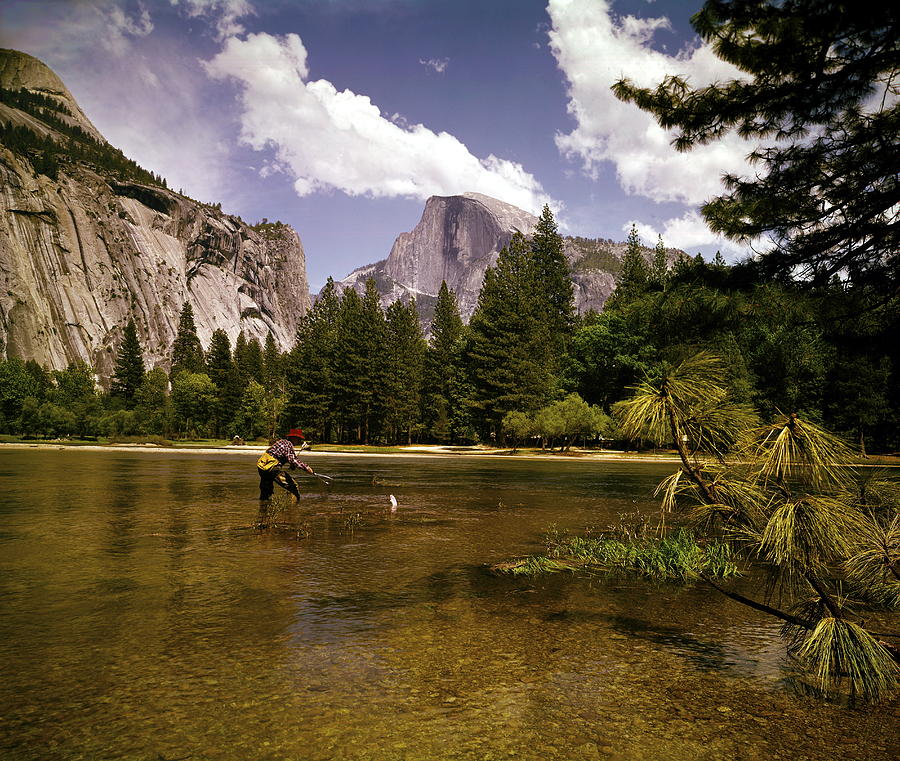 Yosemite Fly Fishing Photograph by Tom Kelley Archive