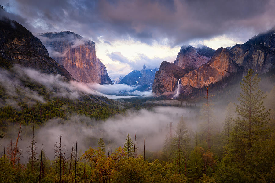 Yosemite: Fogs And Clouds Photograph by Michael Zheng