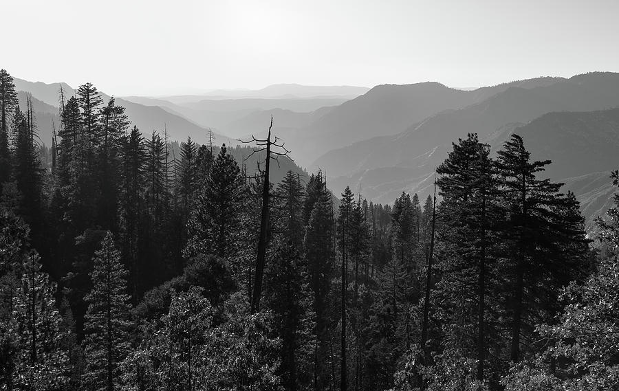Yosemite Photograph by Maryann Flick
