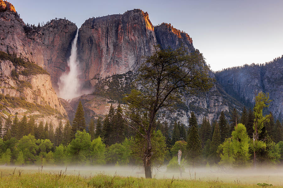 Yosemite Meadow And Falls Photograph