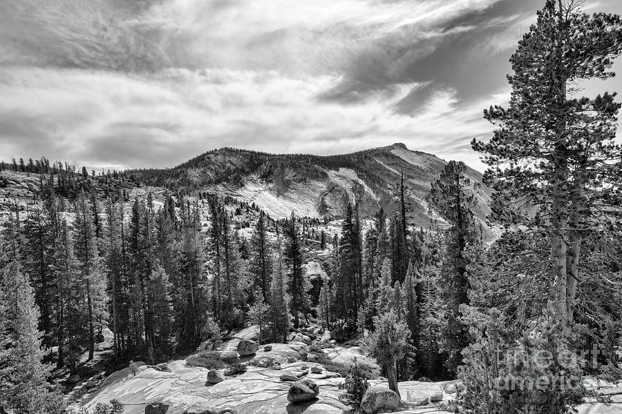 Yosemite National Park Black White  Photograph by Chuck Kuhn
