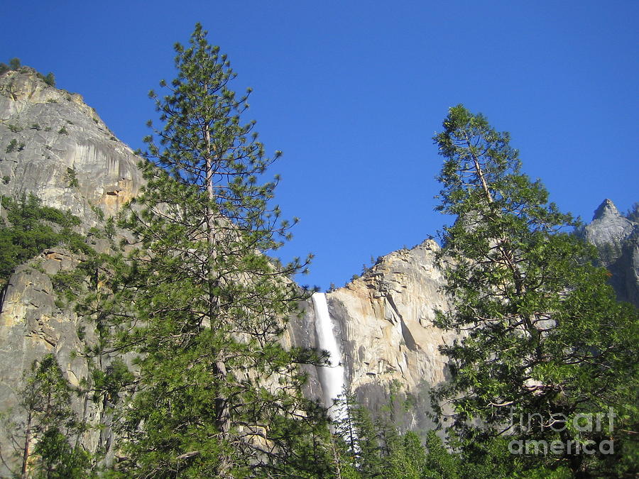 Yosemite National Park Bridal Veil Falls Twin Trees View Photograph by John Shiron