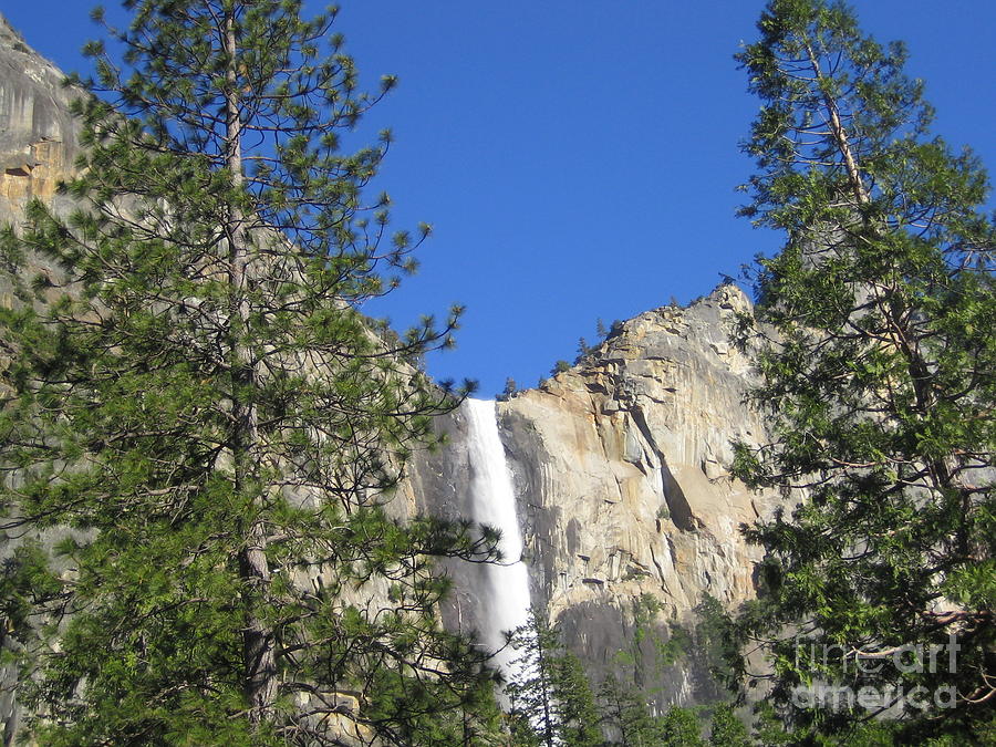 Yosemite National Park Bridal Veil Falls Water Fall View with Twin Trees Photograph by John Shiron