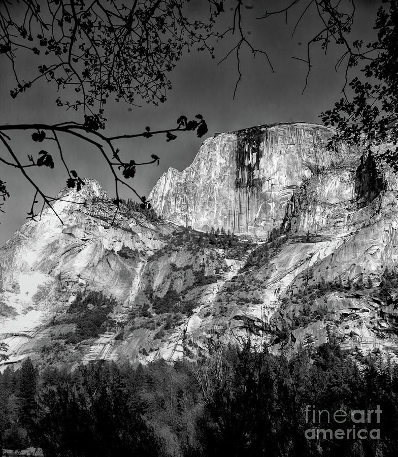 Yosemite National Park BW Photograph by Chuck Kuhn