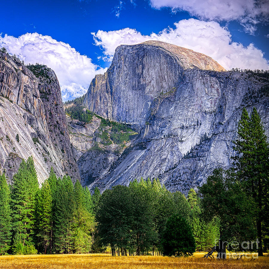 Capitan Photograph - Yosemite National Park California by Dancestrokes Capitan Photograph - Yosemite National Park California by Dancestrokes