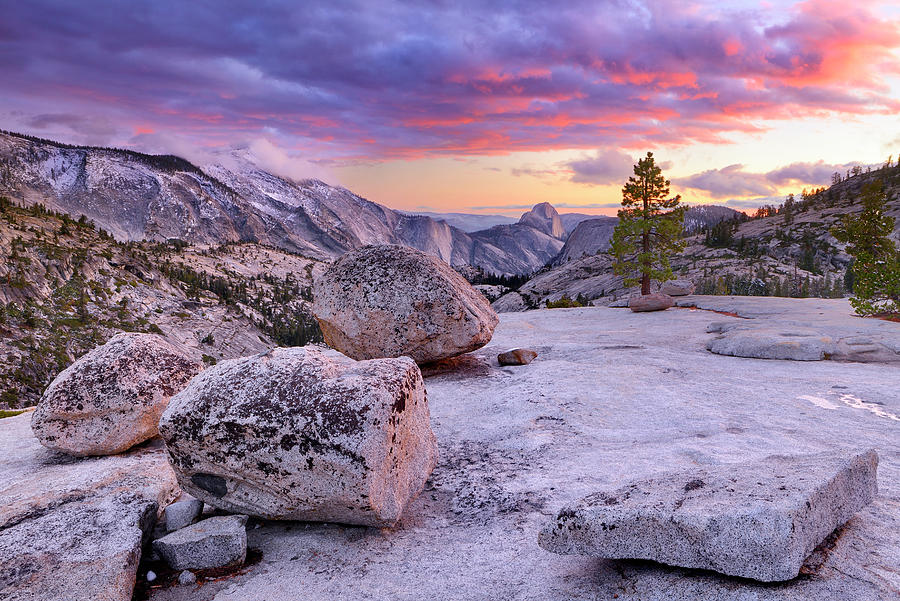 Yosemite National Park, California Digital Art by Francesco Carovillano