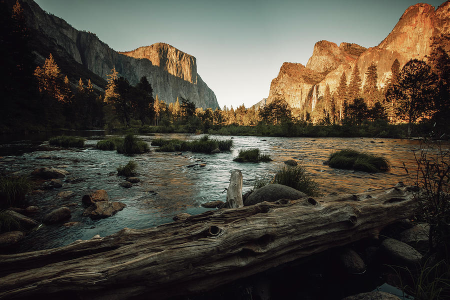 Yosemite National Park Environment Capitan View Photograph by Cavan Images Yosemite National Park Environment Capitan View Photograph by Cavan Images