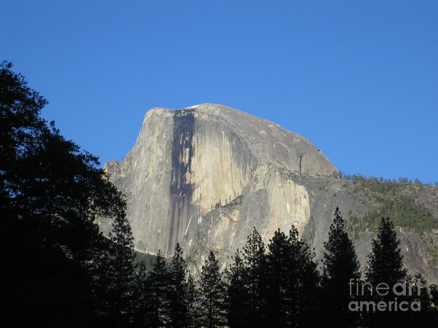 Yosemite National Park Half Dome Rock Close Up View on A Clear Day Photograph by John Shiron