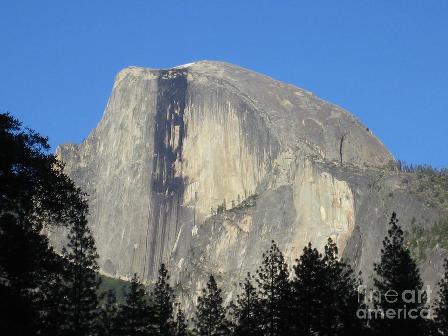 Yosemite National Park Half Dome Rock Photograph by John Shiron