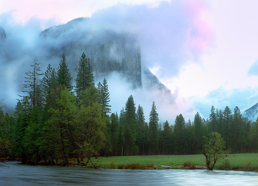 Yosemite National Park Photograph by Kingwu