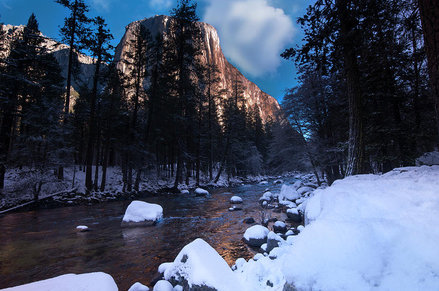 Yosemite National Park Photograph by Michael Leggero
