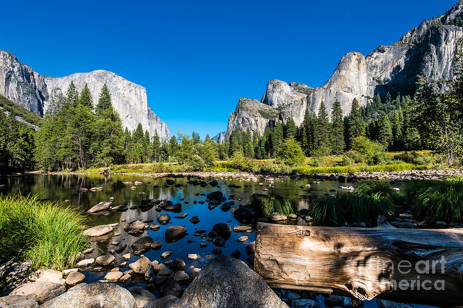 Forest Photograph - Yosemite National Park, Mountains And by Mikhail Kolesnikov Forest Photograph - Yosemite National Park, Mountains And by Mikhail Kolesnikov
