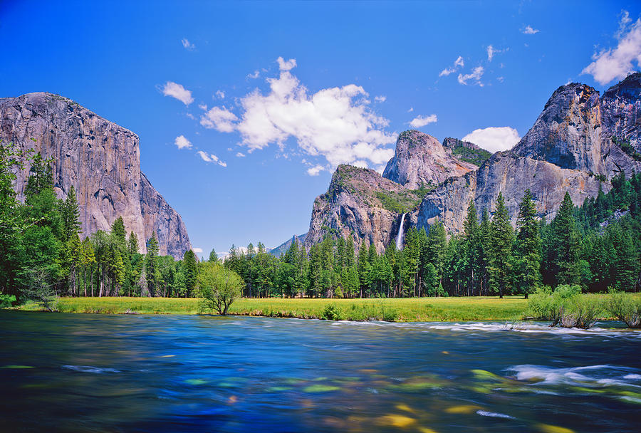 Yosemite National Park Photograph by Ron thomas