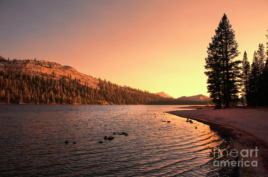 Yosemite National Park Sunset  Photograph by Chuck Kuhn