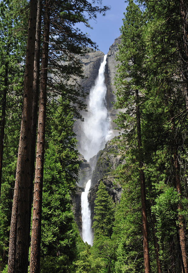 Yosemite National Park, Usa Photograph by Aimin  Tang