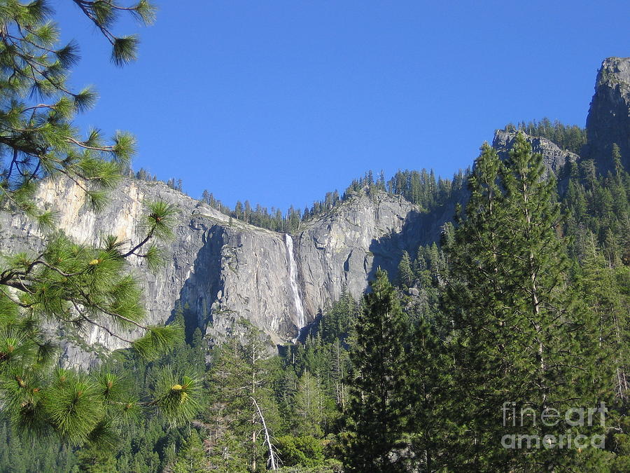 Yosemite National Park Waterfall and Mountain Range with Trees in the Foreground Photograph by John Shiron
