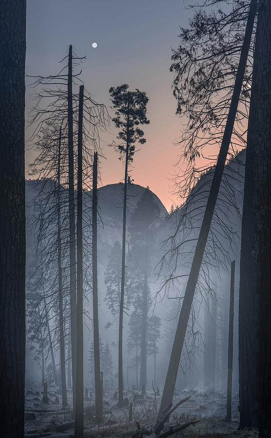 Sunset Photograph - Yosemite Np by Larry Deng