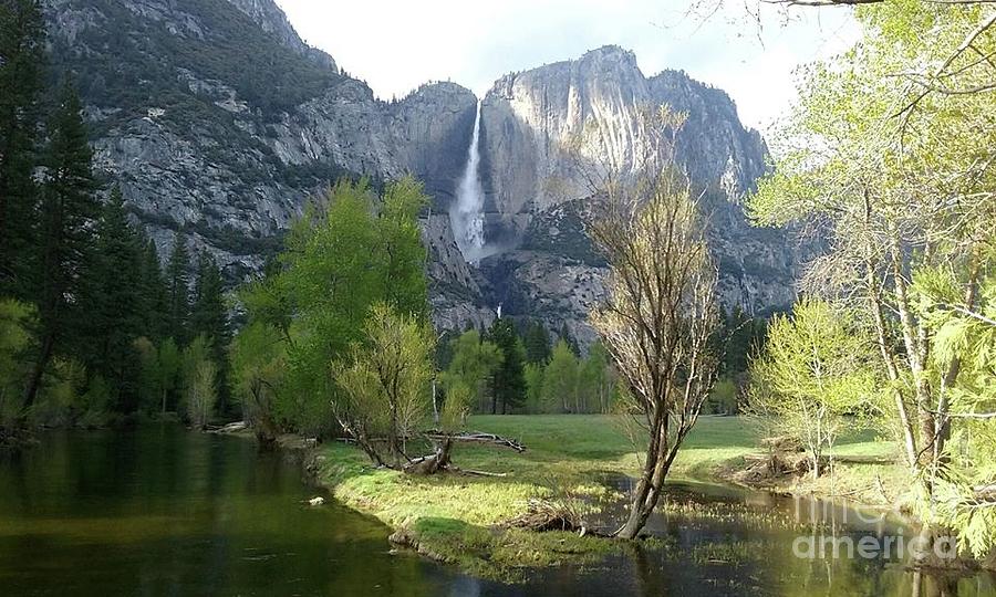 Yosemite Paradise  Digital Art by Cristophers Dream Artistry