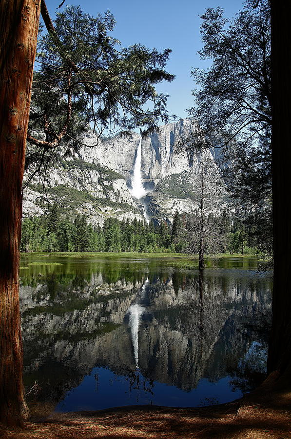 Yosemite Reflection Photograph by Daniel Dodge - Fine Art America