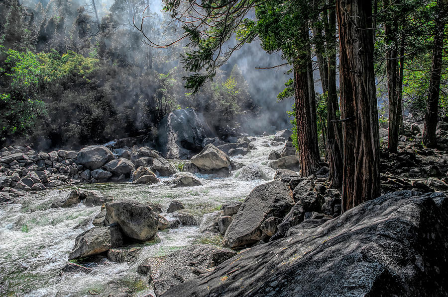 Yosemite Stream Photograph by Wade Aiken