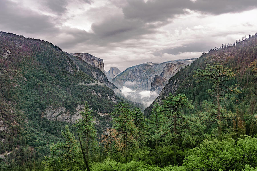 Yosemite Valley 2 Photograph by Silvia Marcoschamer