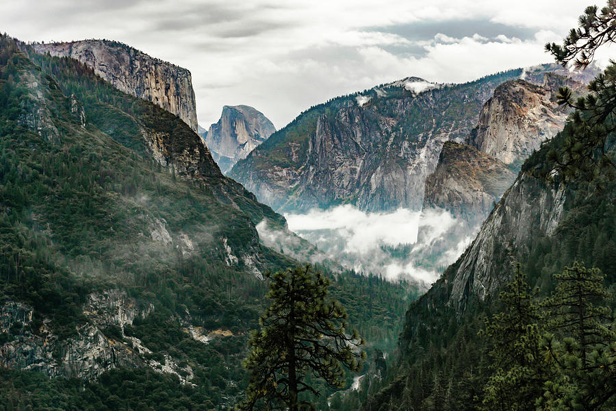 Yosemite Valley 6 Photograph by Silvia Marcoschamer