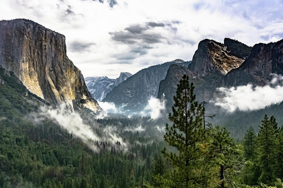 Yosemite Valley 7 Photograph by Silvia Marcoschamer