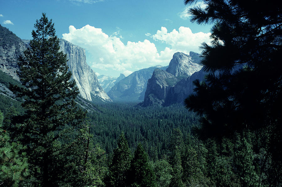 Yosemite Valley, California, Usa Photograph by Andy Sotiriou
