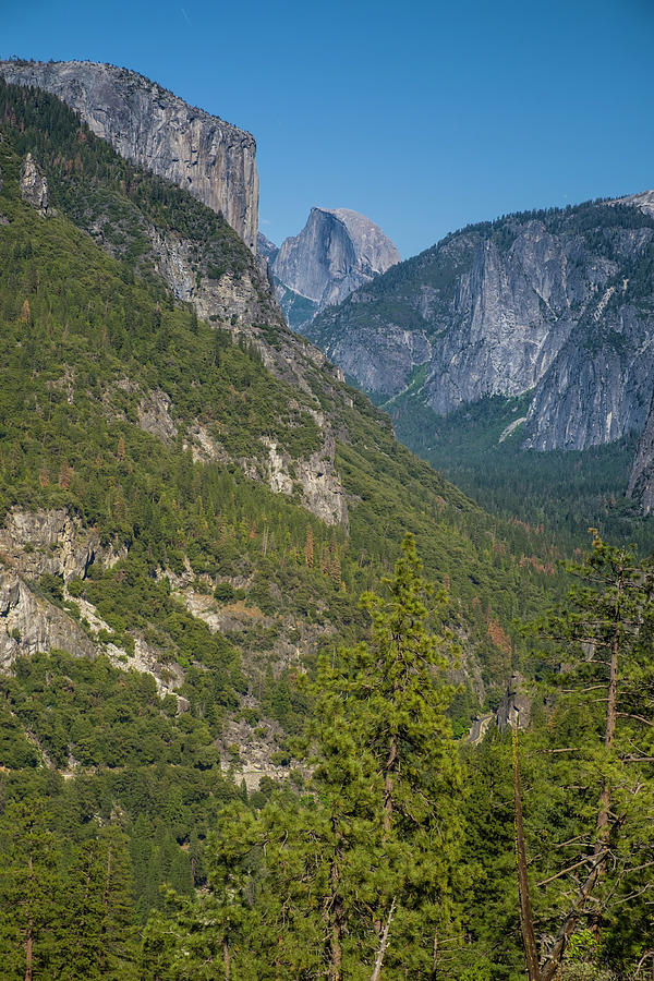 Yosemite Valley Photograph by David L Moore